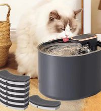 3L Functional Model Auto Cat Water Fountain Filter Automatic Sensor Drinker