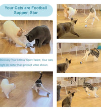 Cat Toy, Interactive Automatic Moving Ball Bundle, Classic Mice and Feather in a Pack, Smart Electric Teaser with USB Rechargeable for Kitten and Pets