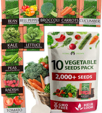 2,000+ Vegetable Seeds for Planting - 10 Heirloom Seeds for Planting Vegetables Indoors or Outdoors: Non-Gmo Kale, Lettuce, Tomato, Broccoli, Beans, Peas, Bell Peppers - Home Garden Survival Seeds