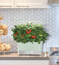 Harvest Indoor Garden Hydroponic System with LED Grow Light and Herb Kit, Holds up to 6 Pods, Sage
