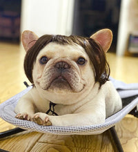 Pet Wigs Cosplay Props Dog Cat Cross-Dressing Hair Set Photography Funny Props Head Accessories Prank Pet Supplies Costumes DIY