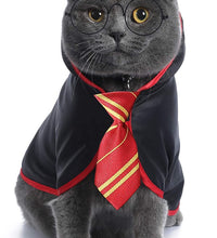 Cat Halloween Costume Anime Pet Clothes for Small Dog Kitten Costume Wizard Accessories Outfits (L) Red