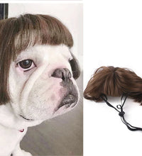 Pet Wigs Cosplay Props Dog Cat Cross-Dressing Hair Set Photography Funny Props Head Accessories Prank Pet Supplies Costumes DIY
