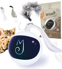 Cat Toy, Interactive Automatic Moving Ball Bundle, Classic Mice and Feather in a Pack, Smart Electric Teaser with USB Rechargeable for Kitten and Pets