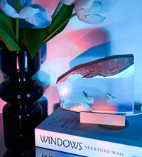 Resin Ocean Lamp,Shark and Diver Resin Wood Lamp