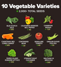 2,000+ Vegetable Seeds for Planting - 10 Heirloom Seeds for Planting Vegetables Indoors or Outdoors: Non-Gmo Kale, Lettuce, Tomato, Broccoli, Beans, Peas, Bell Peppers - Home Garden Survival Seeds