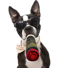 Cigars Dog Toy Dog Chew Toy Dog Prank Toy Squeaky Dog Toy Funny Stuffed Dog Toy D0LD