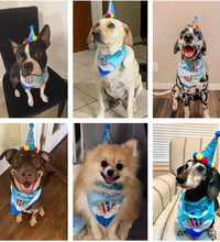 Dog Birthday Bandana Scarf and Blue Boy Pet Birthday Party Hat with Cute Bow Tie for Medium Large Dog Pet (Large)