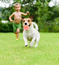 4 Pcs Dog Talking Toy Small Dog Toys Dog Squeaky Toys Interactive Dog Toy Dog Toy Squeakers Dog Toys for Puppies