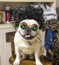 Pet Wigs Cosplay Props Dog Cat Cross-Dressing Hair Set Photography Funny Props Head Accessories Prank Pet Supplies Costumes DIY