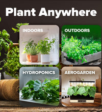 2,000+ Vegetable Seeds for Planting - 10 Heirloom Seeds for Planting Vegetables Indoors or Outdoors: Non-Gmo Kale, Lettuce, Tomato, Broccoli, Beans, Peas, Bell Peppers - Home Garden Survival Seeds