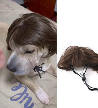 Pet Wigs Cosplay Props Dog Cat Cross-Dressing Hair Set Photography Funny Props Head Accessories Prank Pet Supplies Costumes DIY