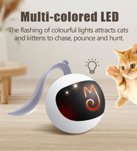 Cat Toy, Interactive Automatic Moving Ball Bundle, Classic Mice and Feather in a Pack, Smart Electric Teaser with USB Rechargeable for Kitten and Pets