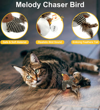 Interactive Electronic Cat Toy, Automatic Chirping Bird Toy Squeaky with Feather Tail, Melody Chaser Toy for Cats to Play Alone, Play and Squeak Kitten Toy for Boredom