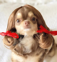 Pet Wigs Cosplay Props Dog Cat Cross-Dressing Hair Set Photography Funny Props Head Accessories Prank Pet Supplies Costumes DIY