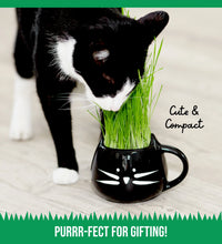 Organic Cat Grass Growing Kit with Black Cat Mug Planter