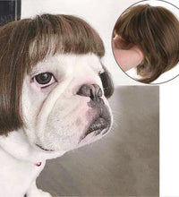 Pet Wigs Cosplay Props Dog Cat Cross-Dressing Hair Set Photography Funny Props Head Accessories Prank Pet Supplies Costumes DIY