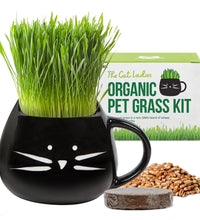 Organic Cat Grass Growing Kit with Black Cat Mug Planter