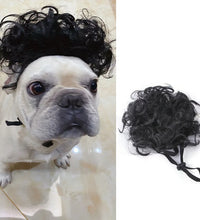 Pet Wigs Cosplay Props Dog Cat Cross-Dressing Hair Set Photography Funny Props Head Accessories Prank Pet Supplies Costumes DIY